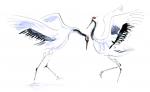 Cranes Fighting by Julia Whatley, Phosphor Art http://www.phosphorart.com/?attachment_id=4898 Crane art image
